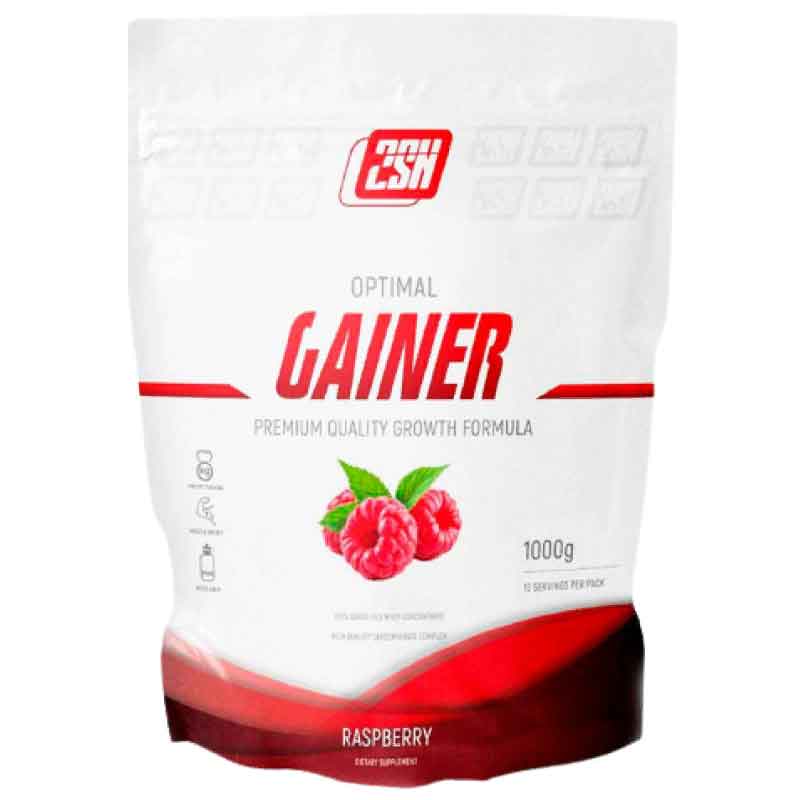 Гейнер 2SN долгоуглеводный 1000 грамм малина