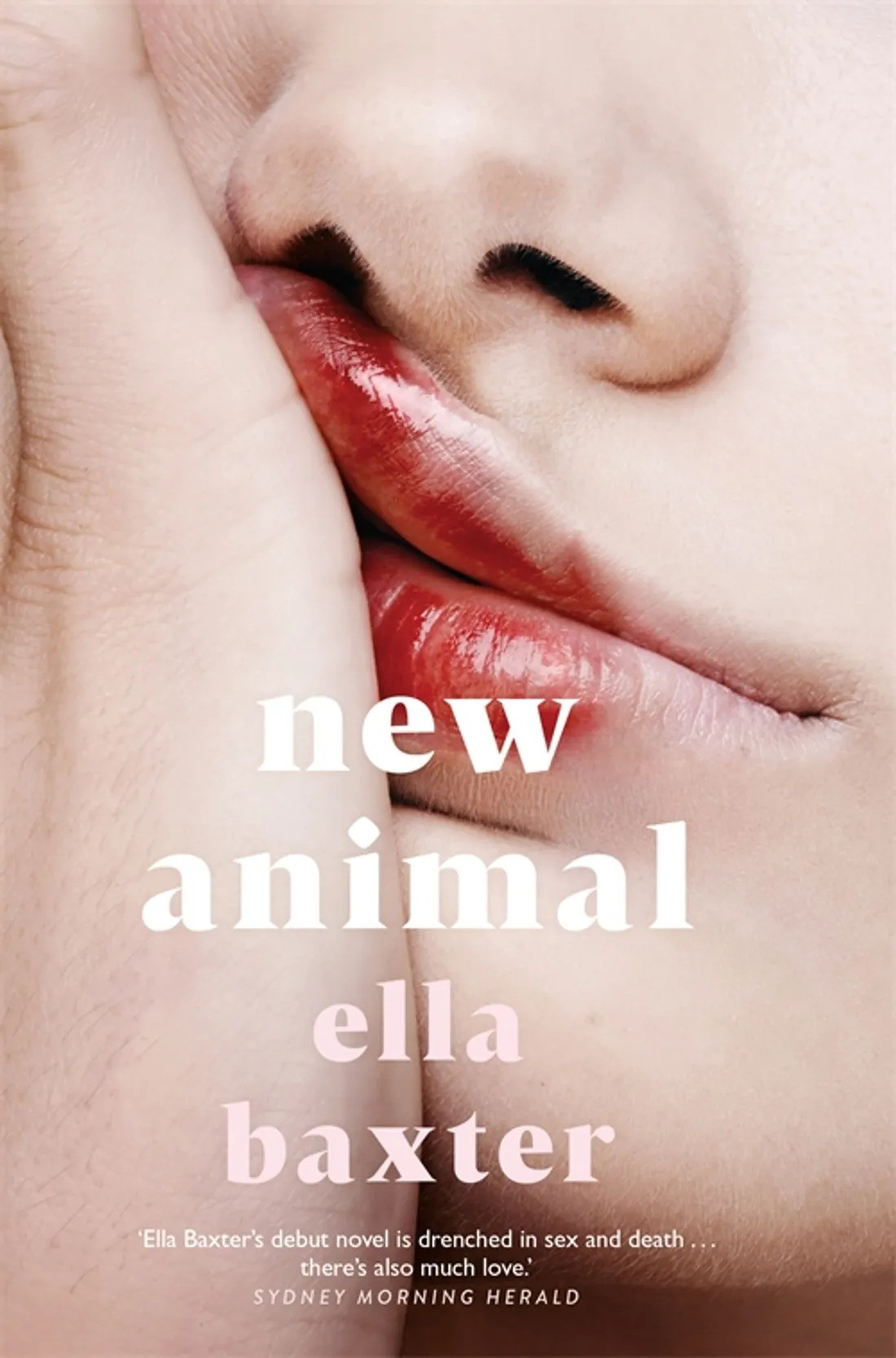 

New Animal