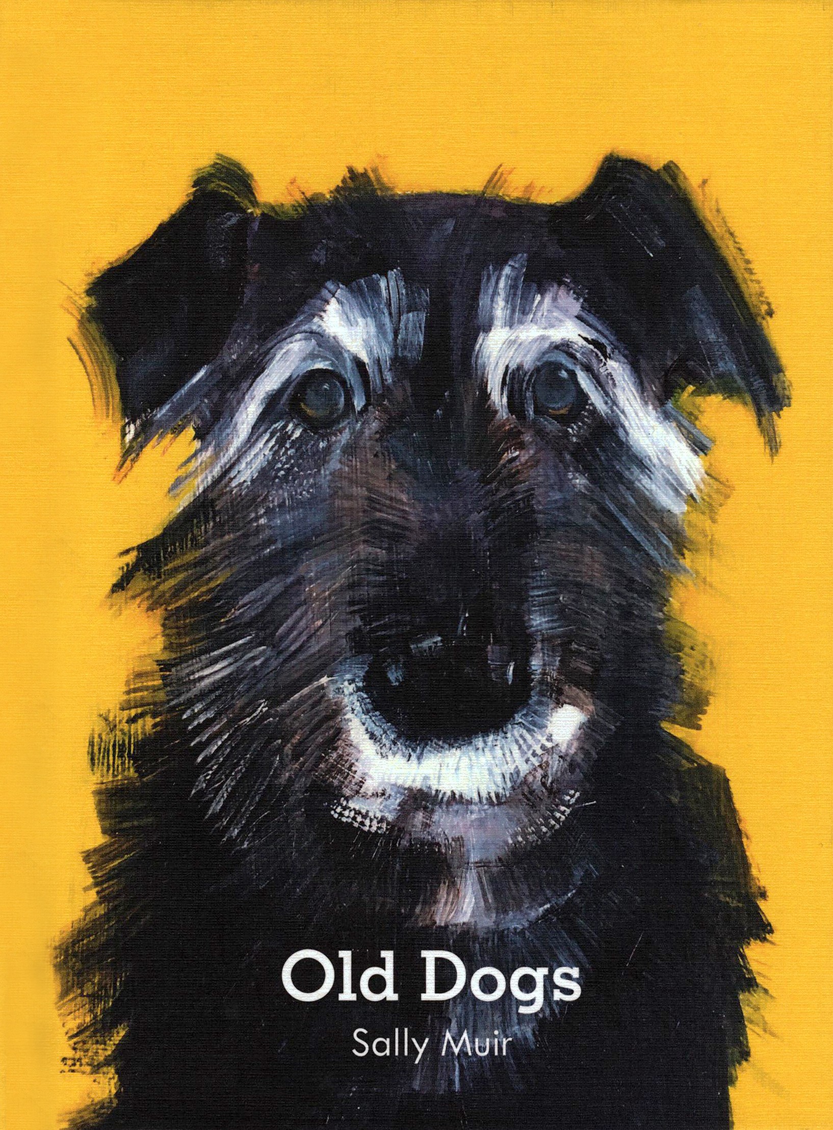 

Old Dogs