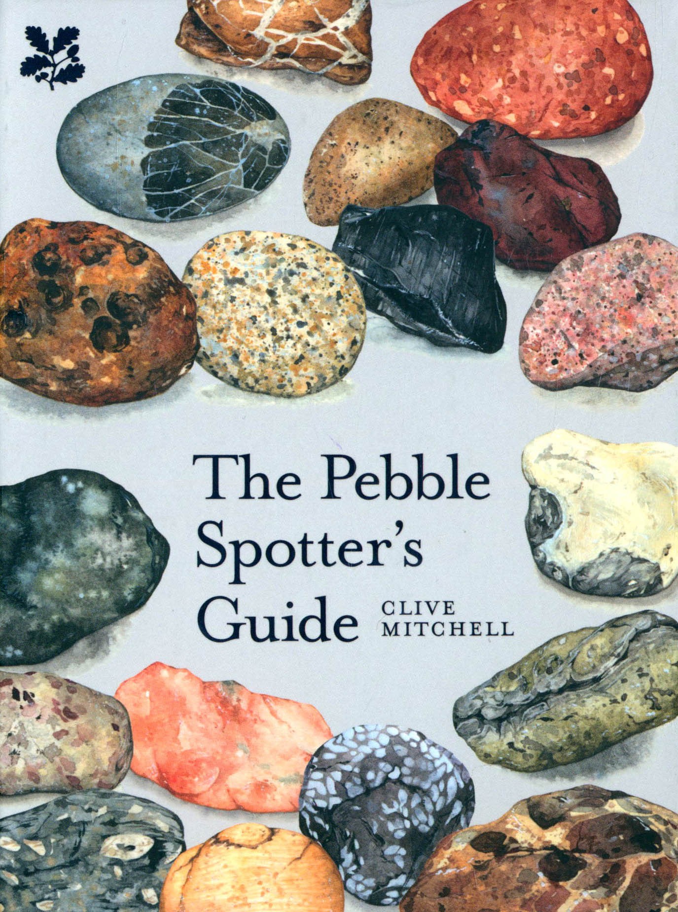 

The Pebble Spotter's Guide