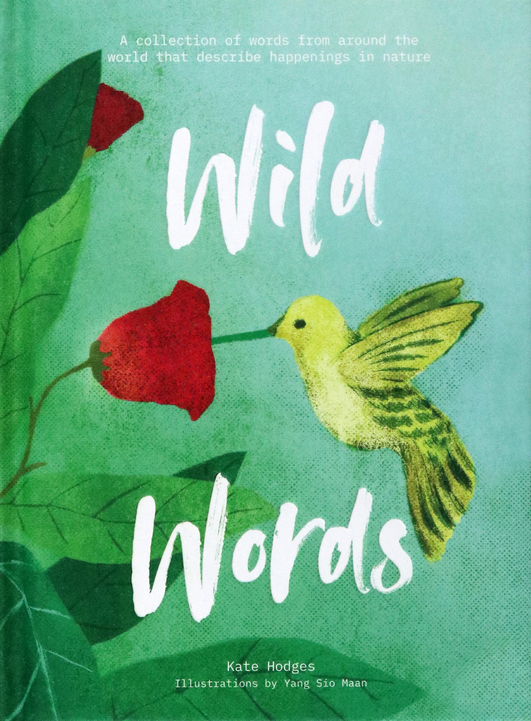 

Wild Words A collection of words