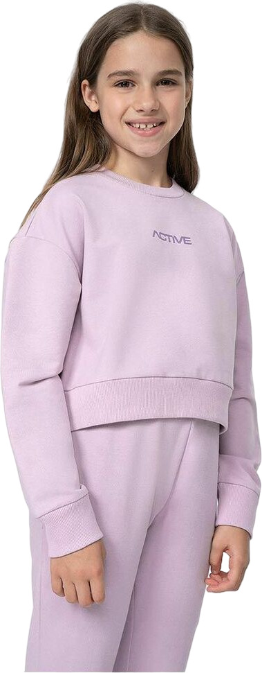 Свитшот детский 4F SWEATSHIRT  F276, Фиолетовый, 164