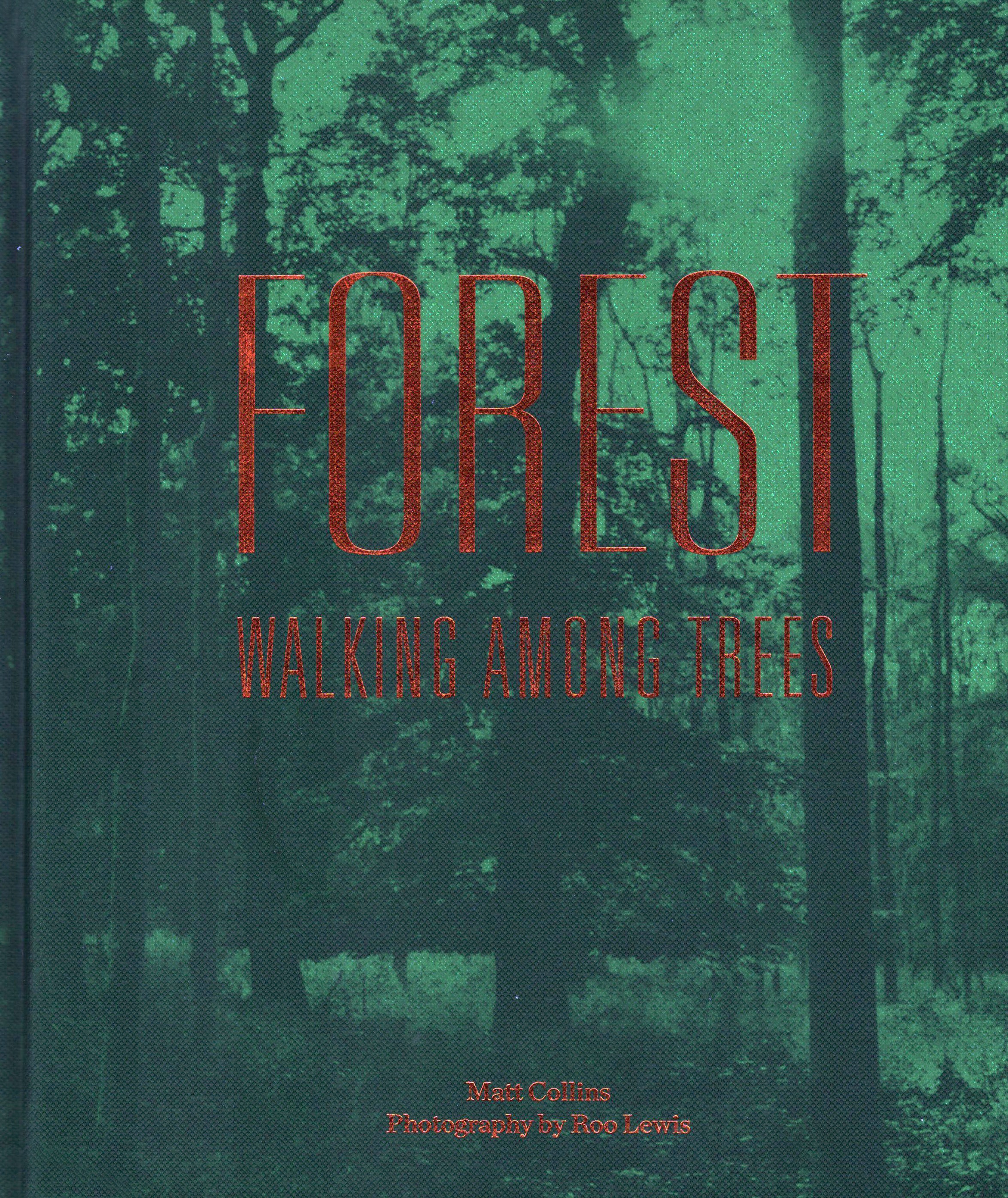 

Forest Walking among trees