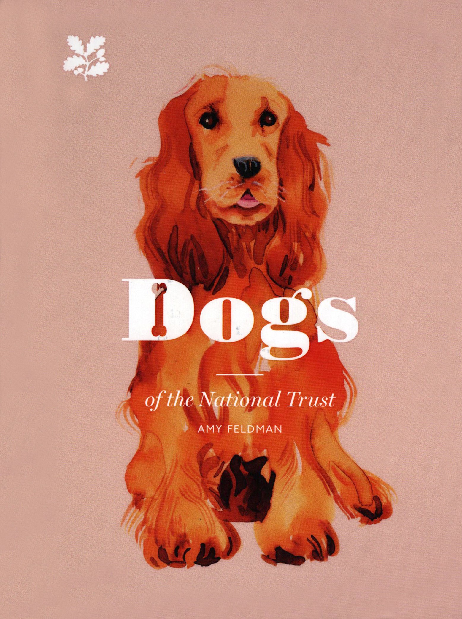 

Dogs of the National Trust