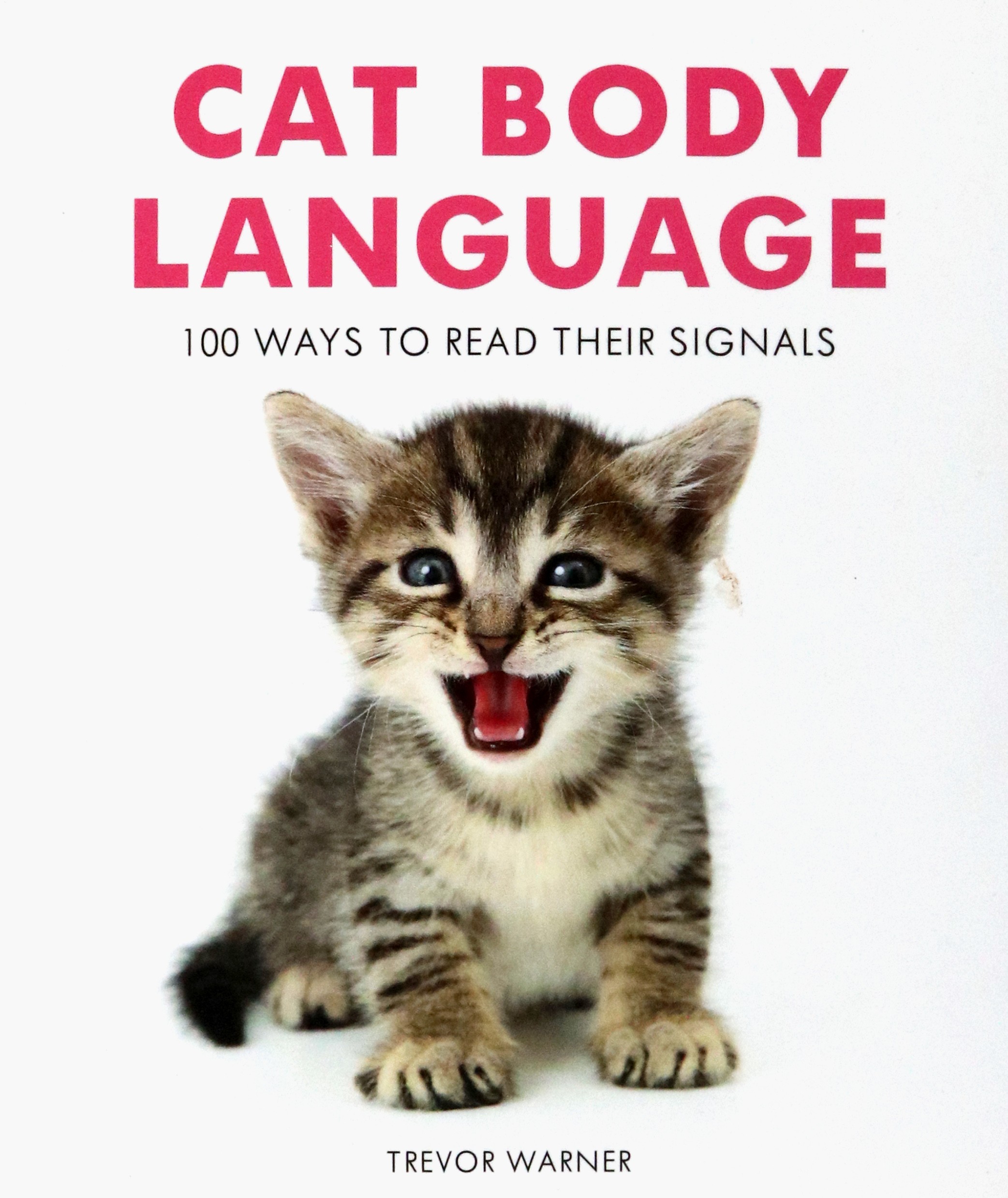 

Cat Body Language 100 Ways To Read Their Signals