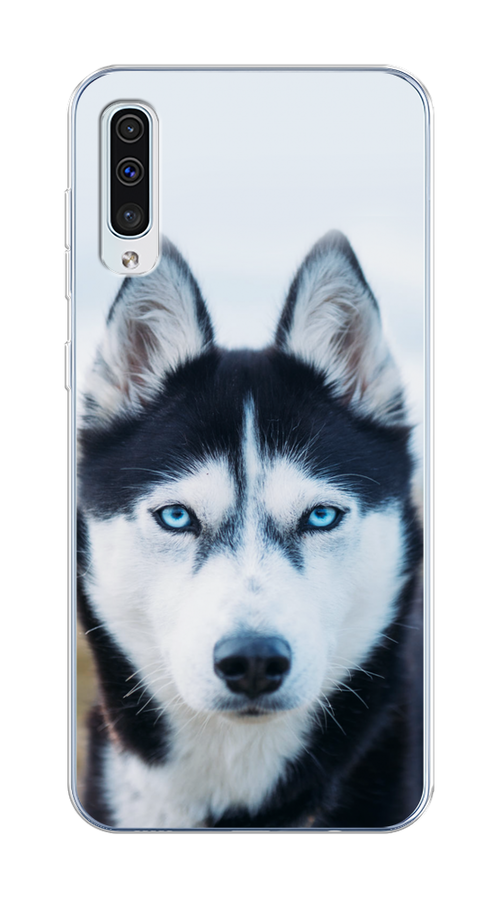 

Чехол на Samsung Galaxy A50/A30S "Хаски 2", Синий;белый, 27750-1