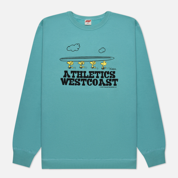 Мужская толстовка TSPTR Surf West голубой, Размер XL