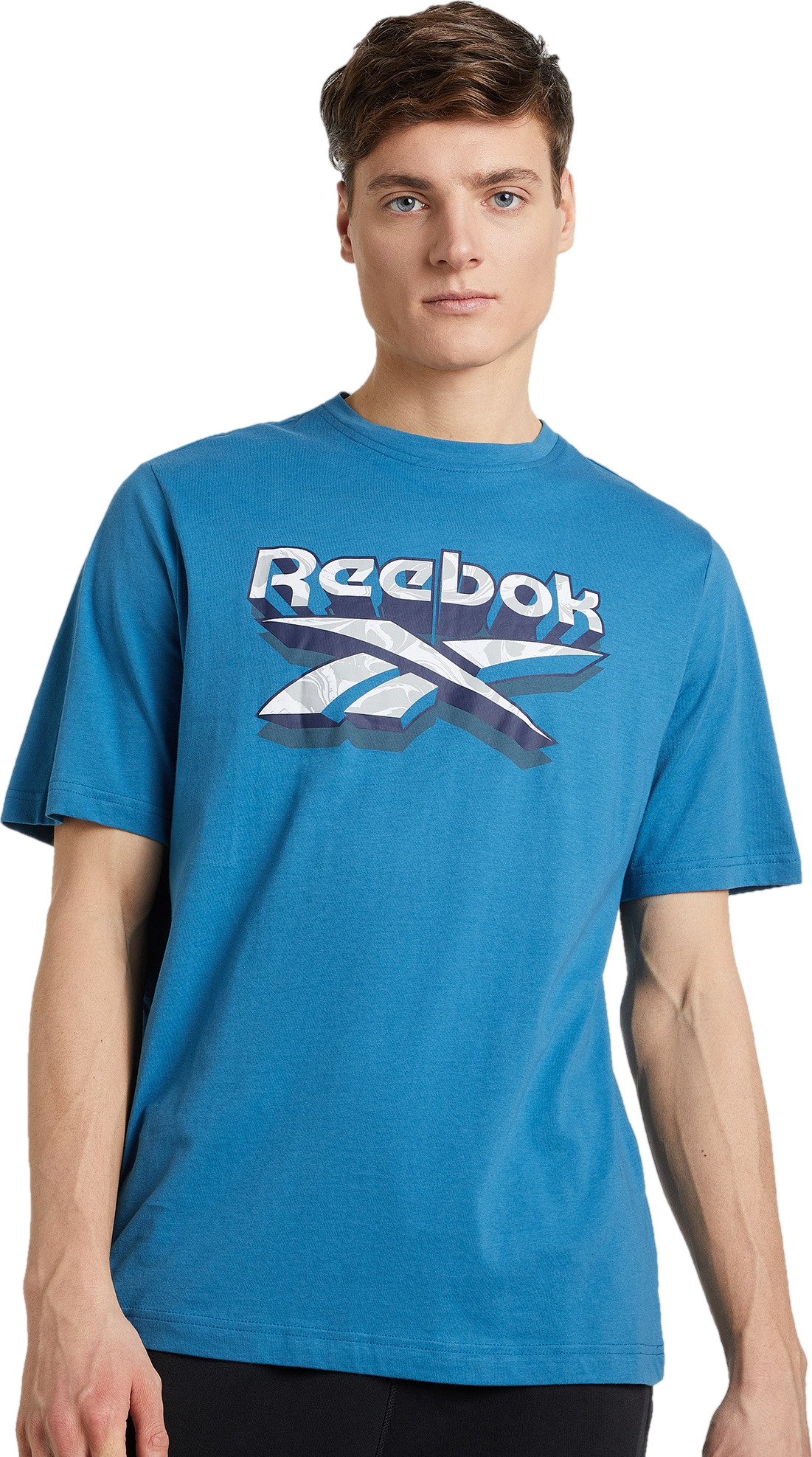 

Футболка мужская Reebok 3D Stacked Vector Ss синяя XL, Синий, 3D Stacked Vector Ss