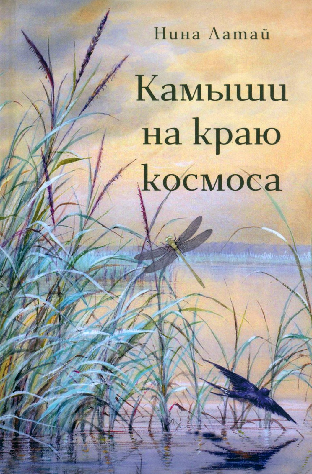 

Камыши на краю космоса