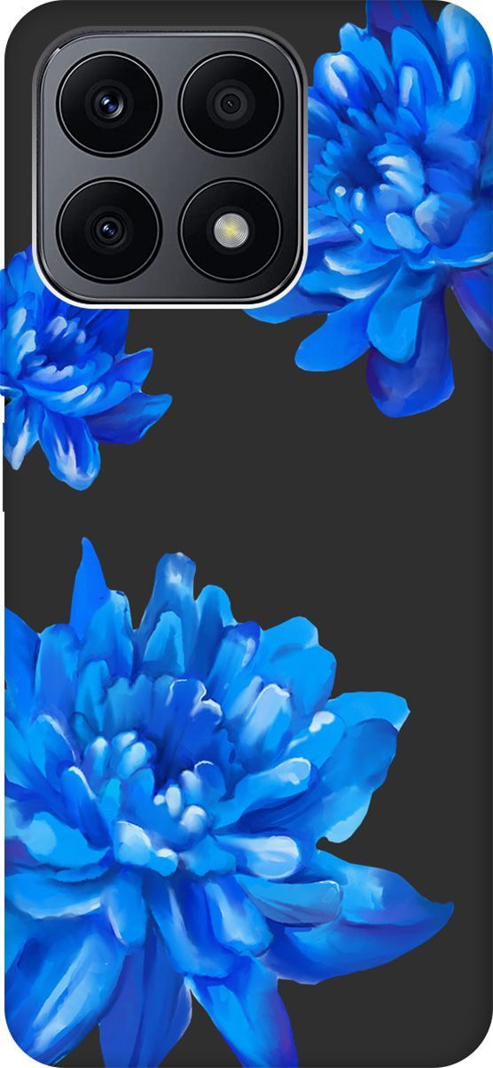 

Матовый Soft Touch Чехол на Honor X8a с 3D принтом "Amazing Asters" черный, Черный;голубой, 158896
