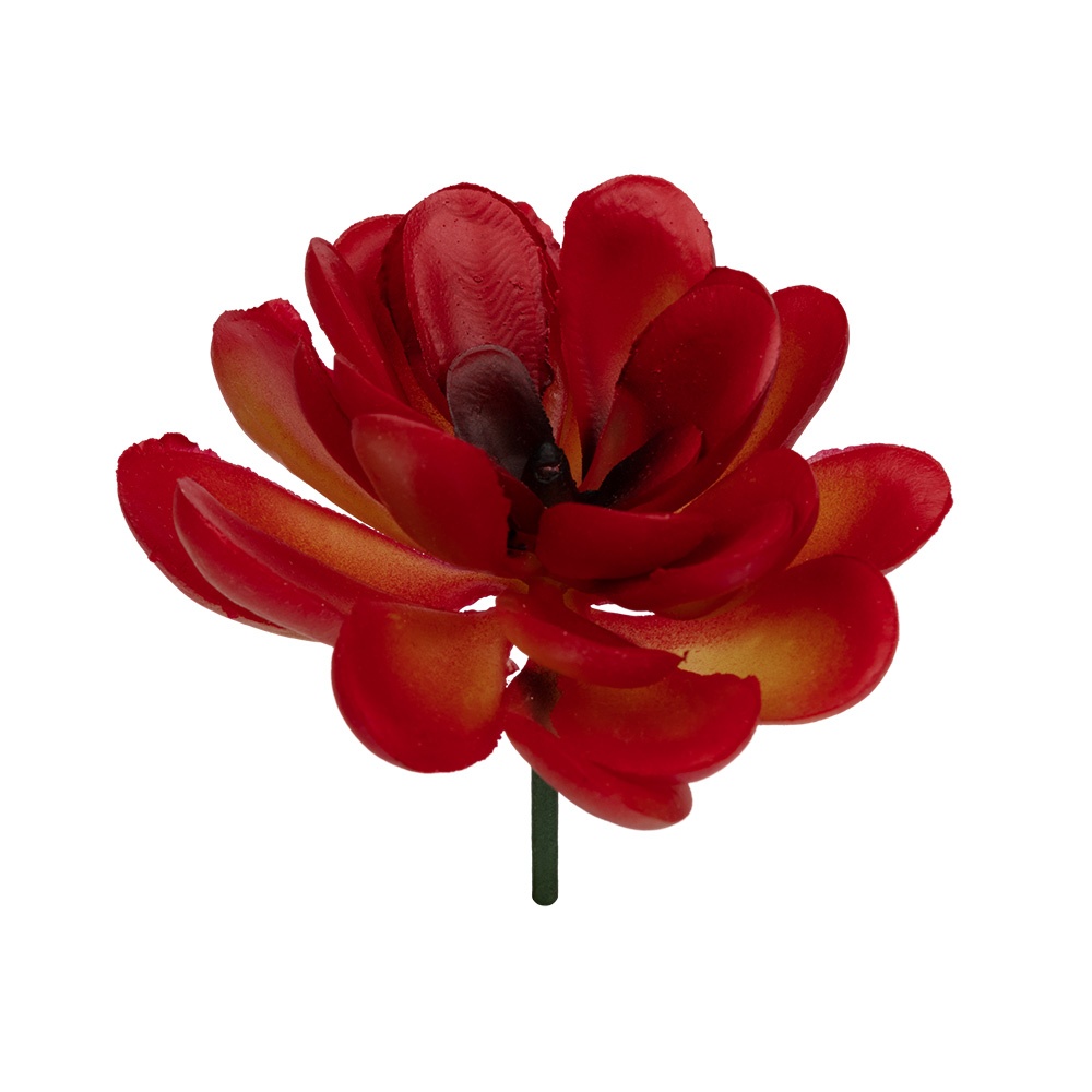 

Blumentag поливинилхлорид, 1 шт, 01, Красный, поливинилхлорид, 1 шт, 01