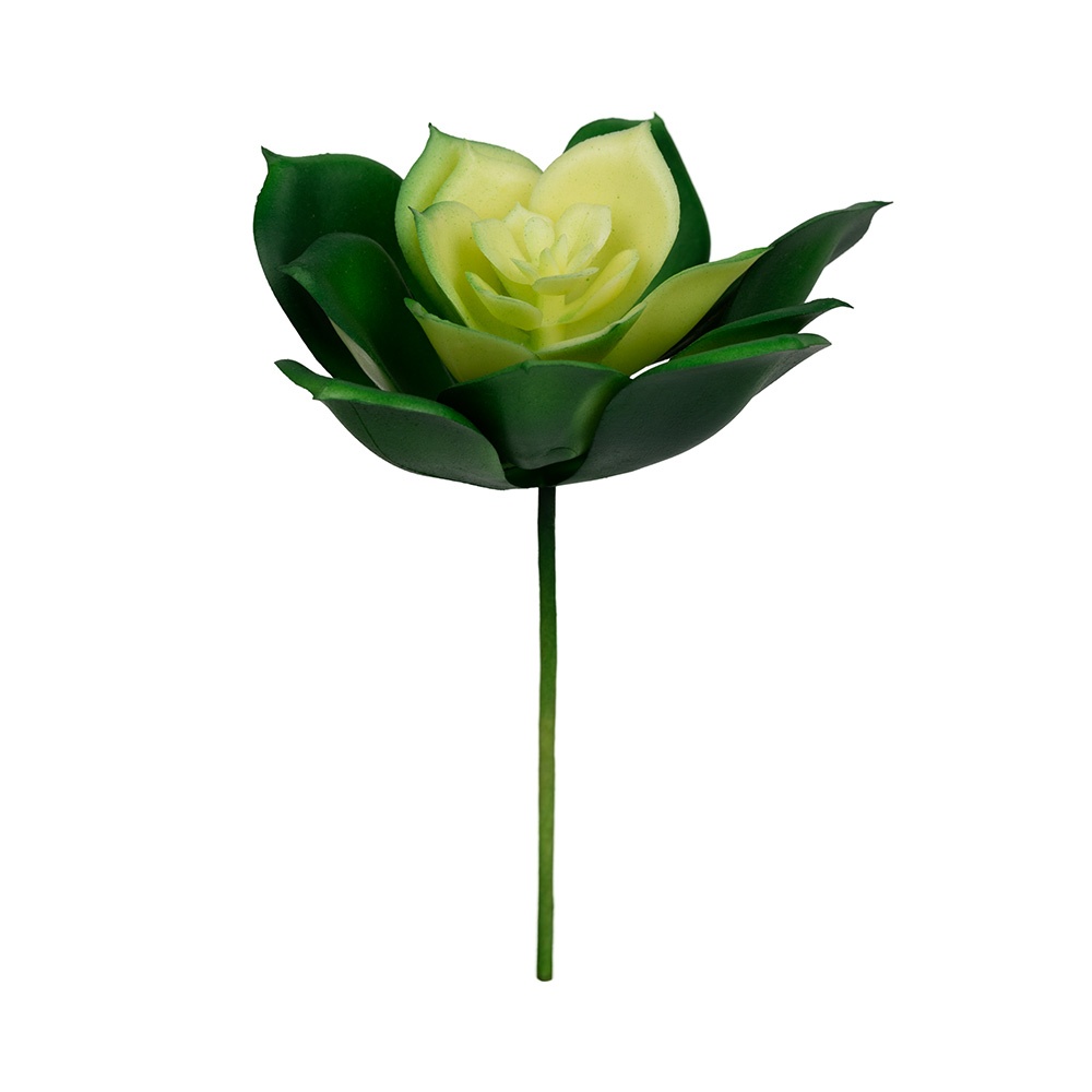 

Blumentag полиэтилен, 1 шт, 01, полиэтилен, 1 шт, 01