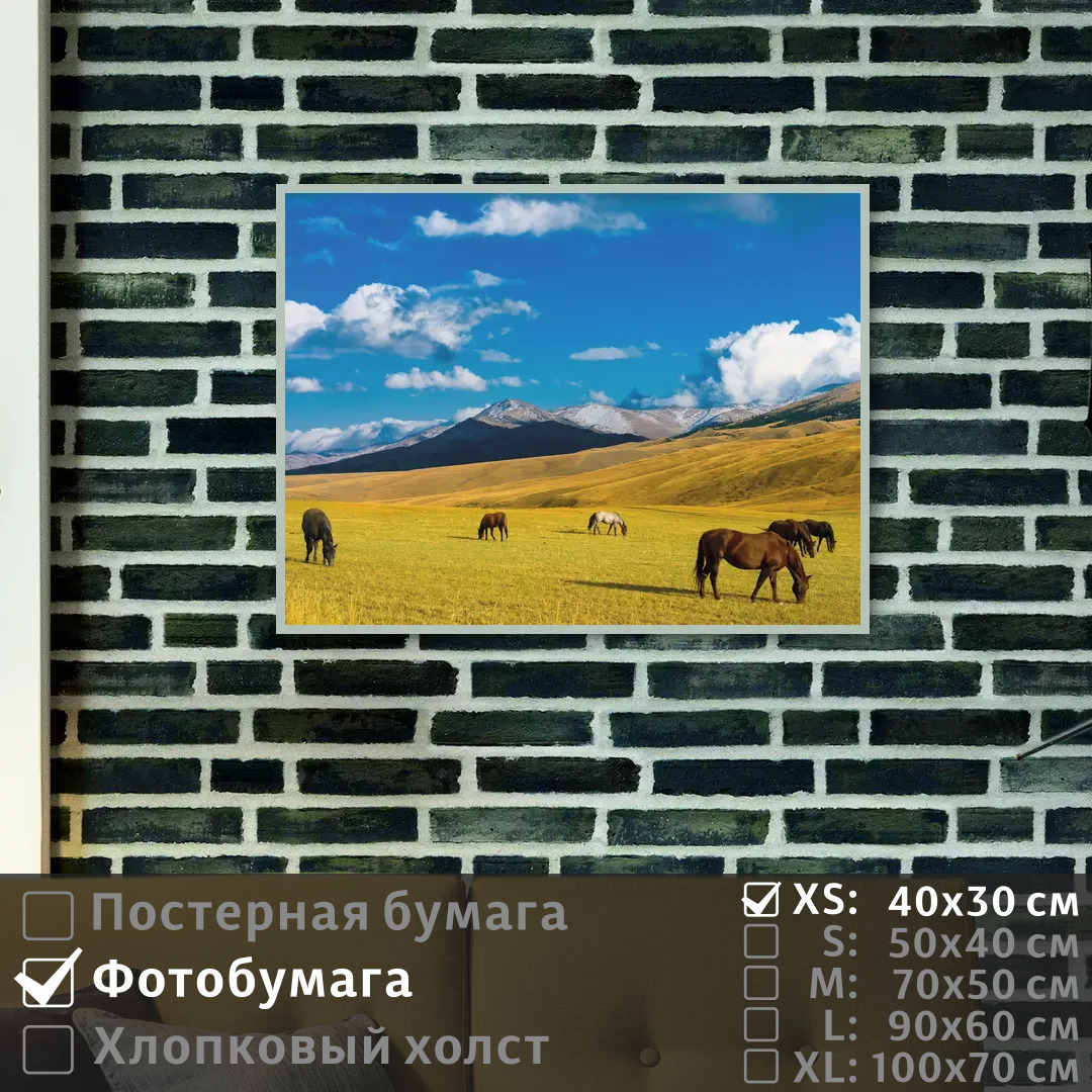 

Постер на фотобумаге ПолиЦентр Дикие лошади на поле в казахстане 40х30 см, ДикиеЛошадиНаПолеВКазахстане