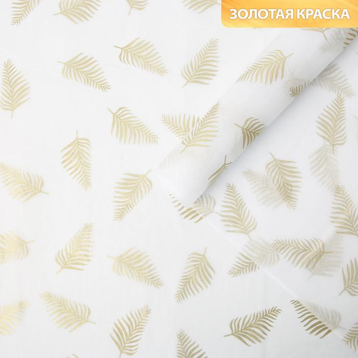 

Бумага упаковочная тишью «Листья, золото», 50 x 70 см, Белый;золотистый