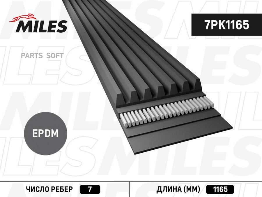 

Ремень Ручейковый Miles 7pk1165 Miles арт. 7PK1165