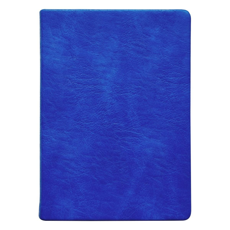 

Ежедневник датированный 2023, 140х200 мм, 352 с. Turtle I1159/blue