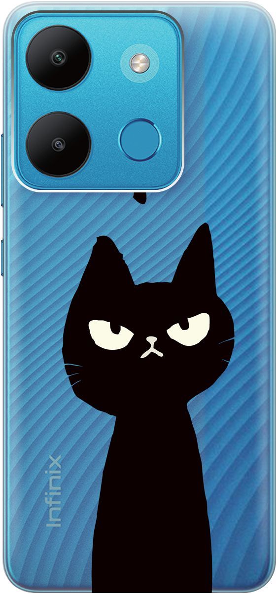 

Чехол на Infinix Smart 7/Tecno Spark Go 2023/Pop 7 Pro "Disgruntled Cat" прозрачный, Прозрачный;черный, 158850