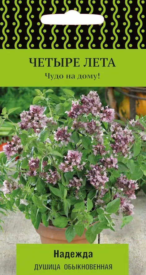 

Семена душица надежда Поиск SSS-82102322 1 уп.