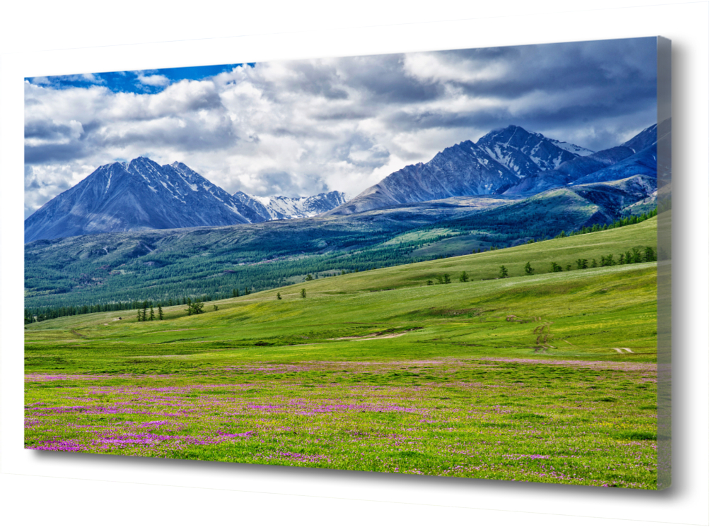 

Картина на холсте Природа. Синие горы PRC-753 (45x30см). Натуральный холст