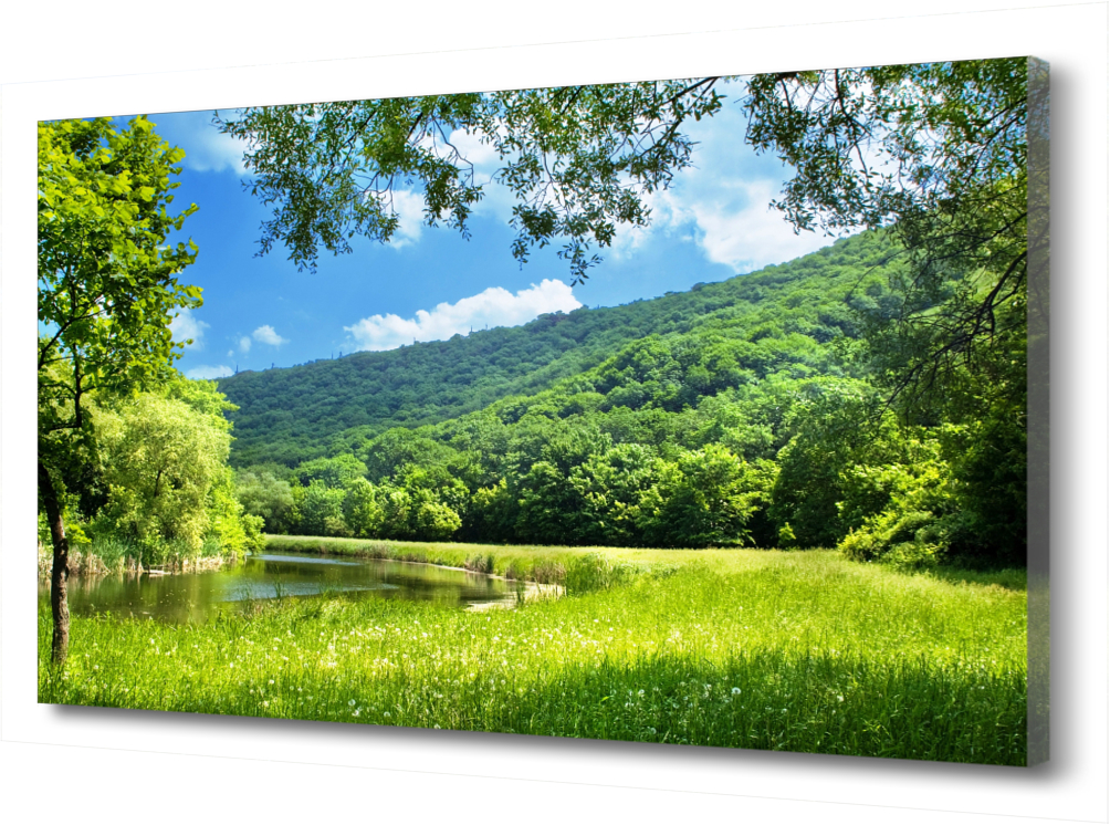 

Картина на холсте Природа. Лето PRC-1582 (45x30см). Натуральный холст