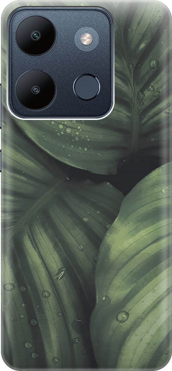 

Чехол на Infinix Smart 7/Tecno Spark Go 2023/Pop 7 Pro "Капли на листьях калатеи", Зеленый;черный, 158848