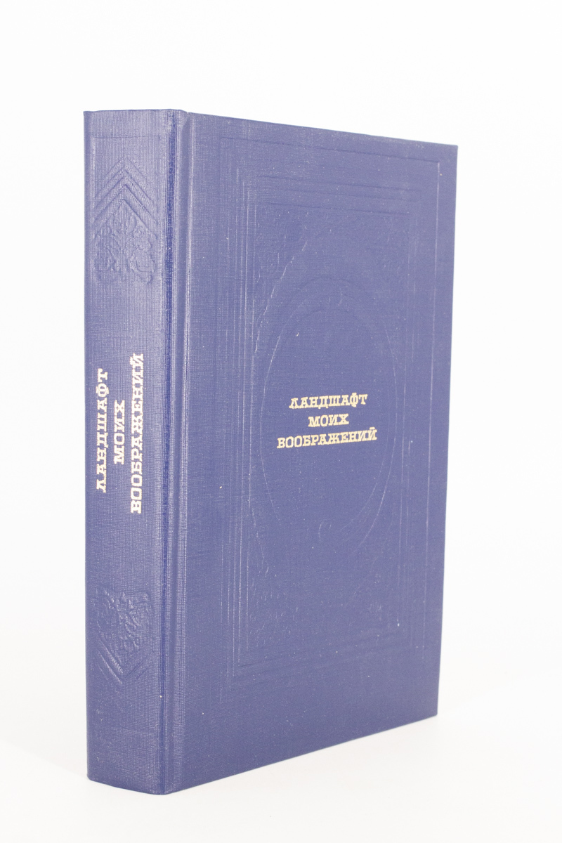 

Ландшафт моих воображений, Коровин В.И.