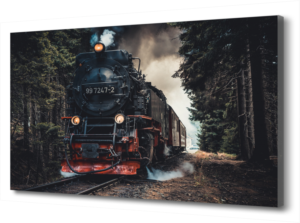 

Картина на холсте Паровоз PRC-940 (45x30см). Натуральный холст