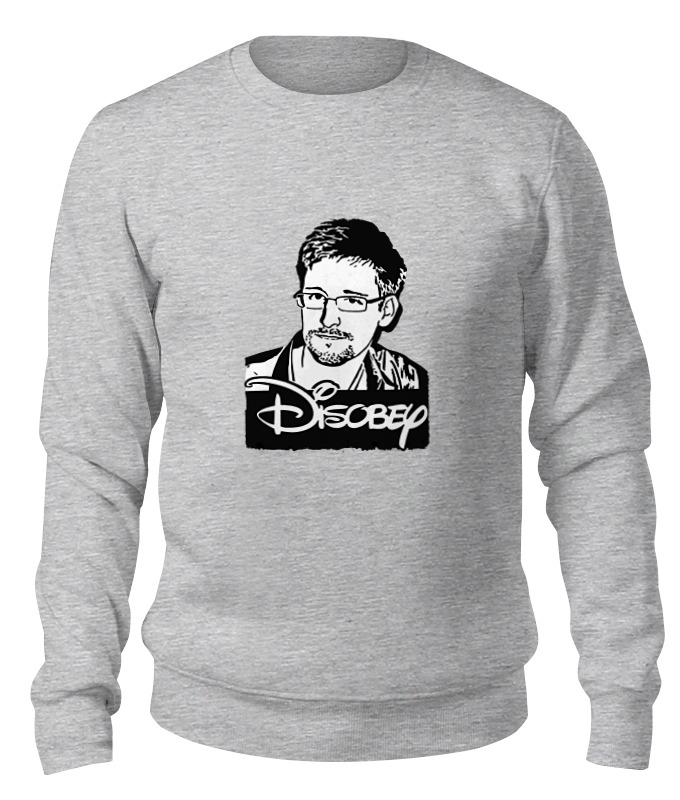 

Свитшот унисекс Printio Edward snowden серый L, Edward snowden