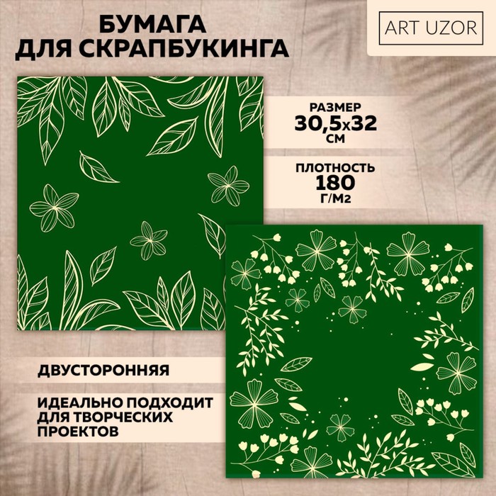 

Бумага для скрапбукинга «Полевые растения», 30,5 х 32 см, 180 г/м 10 шт., Зеленый