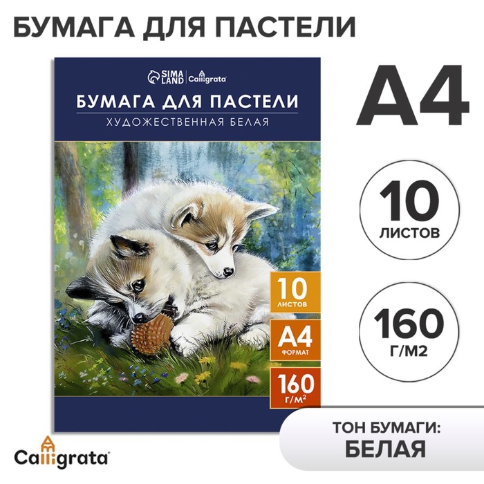 Бумага для пастели А4, 10 листов 