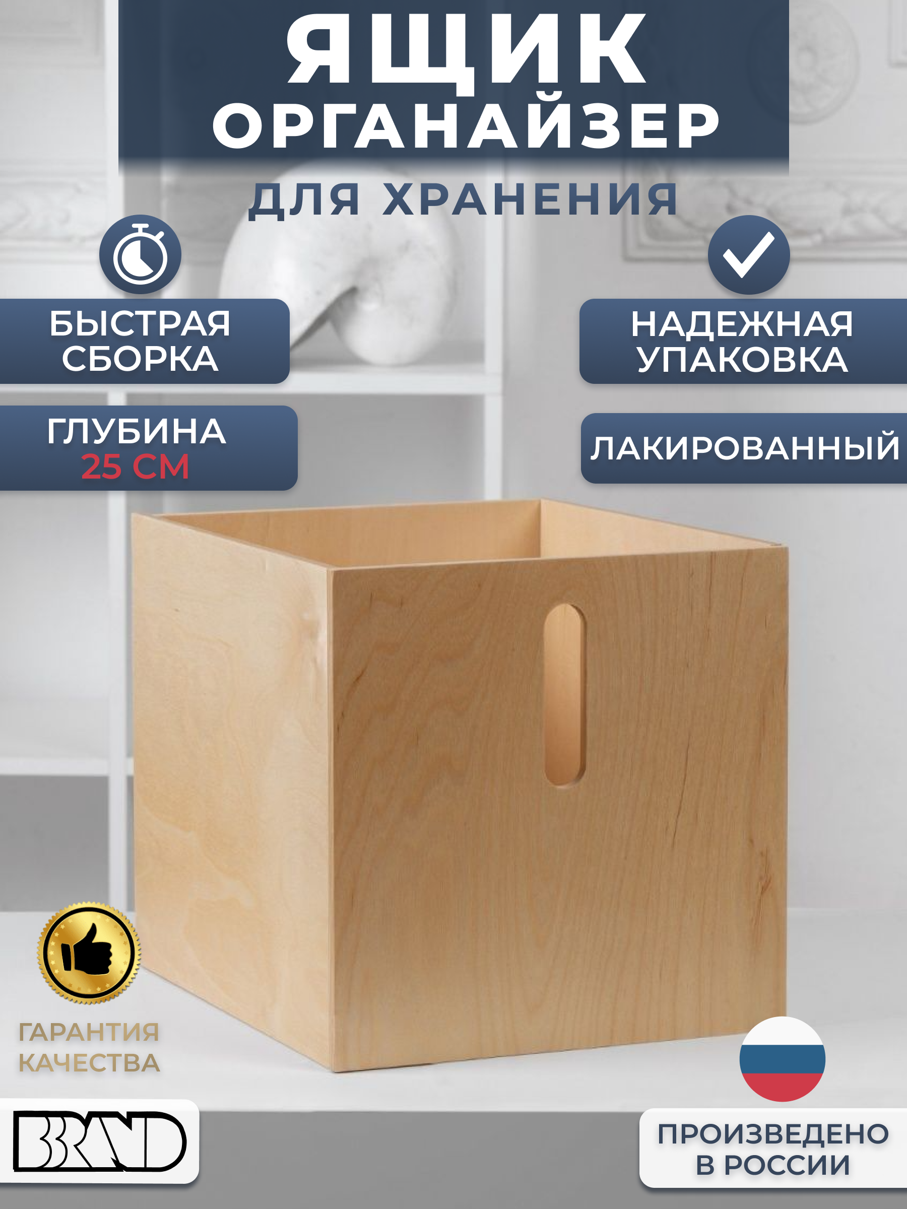 

Органайзер для хранения вещей BBrand кейс лакированный для одежды, глубина 25 см (5), Органайзер (Л)-05 (25)