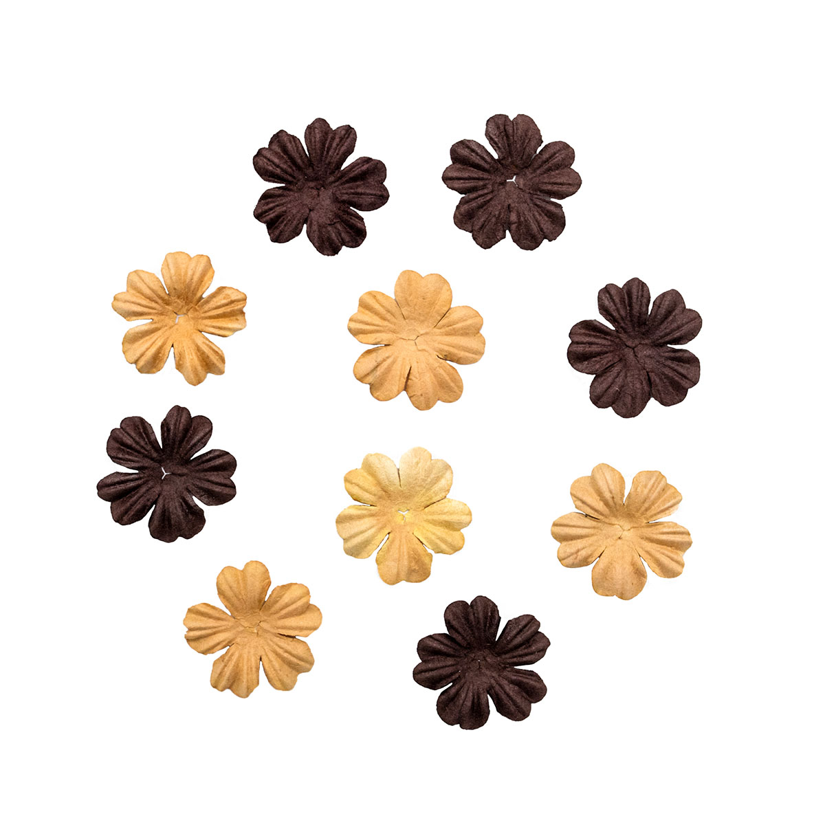 фото Набор цветков из шелковичной бумаги scrapberry's, 10 штук, коричневый/песочный