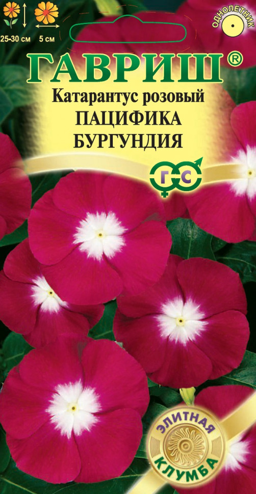 

Семена катарантус Пацифика ХР Бургунди Гавриш 1071858749-10 1 уп.