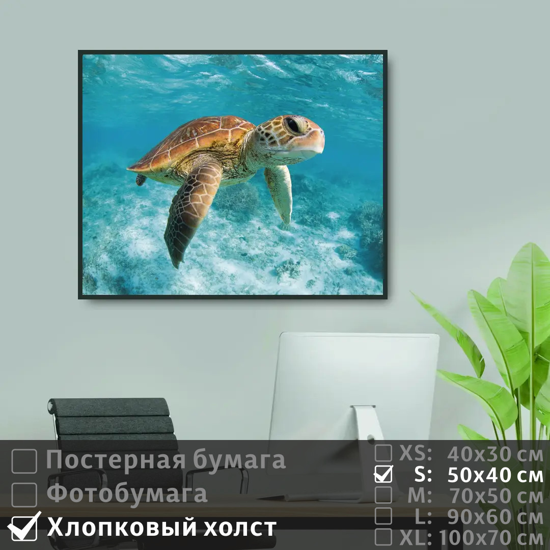 

Постер на холсте ПолиЦентр Черепаха под водой в океане 50х40 см, ЧерепахаПодВодойВОкеане