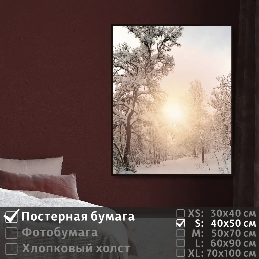 

Постер на стену ПолиЦентр Лес зимний пейзаж 40х50 см, ЛесЗимнийПейзаж
