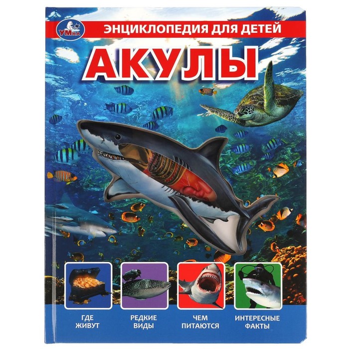

Энциклопедия для детей «Акулы», Энциклопедия