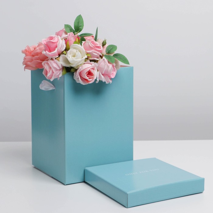 

Коробка складная «Present», 17 х 25 см, Коллекция упаковки "Послание"