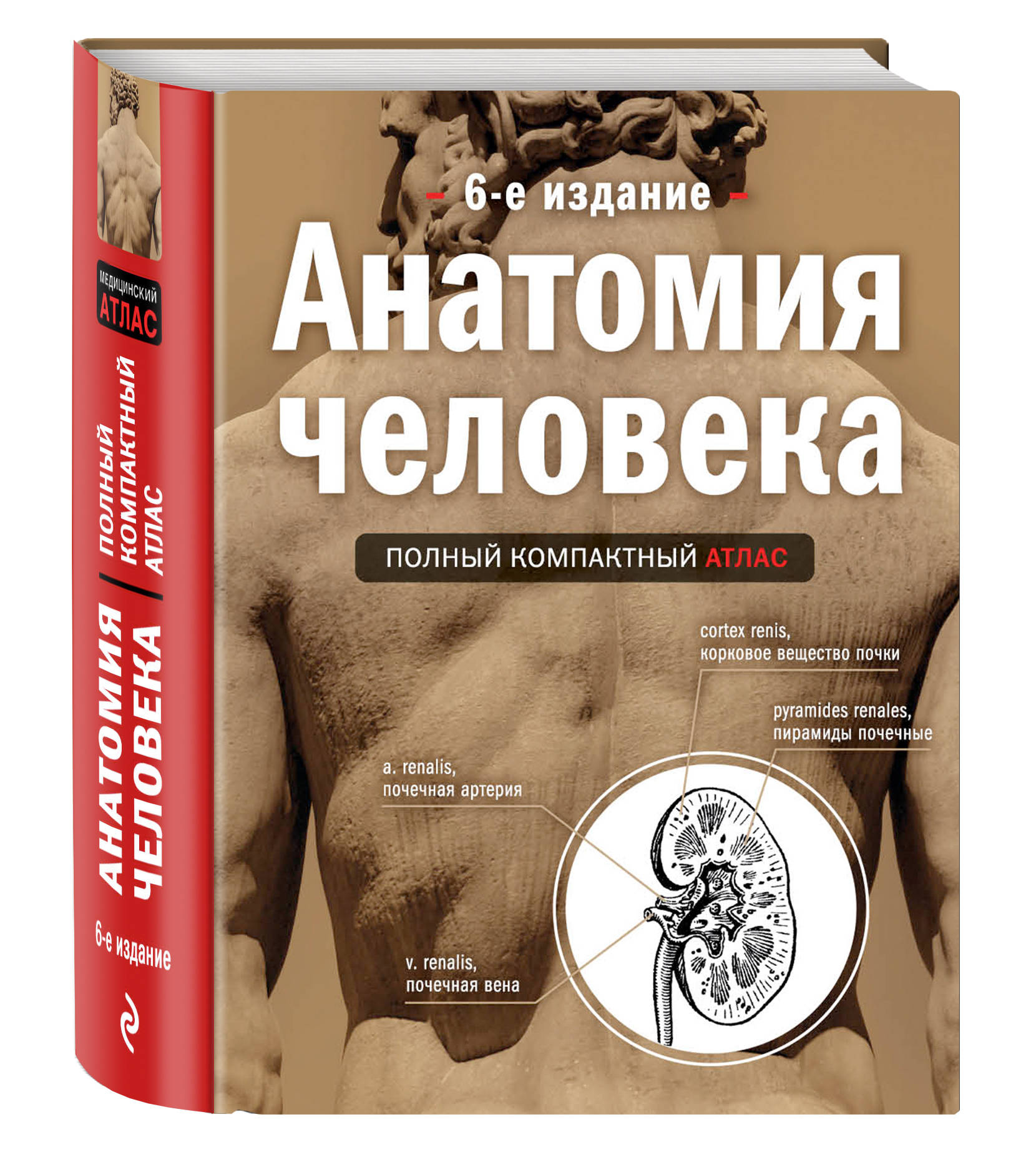 

Анатомия Человека: полный компактный Атлас, 6-е Издание