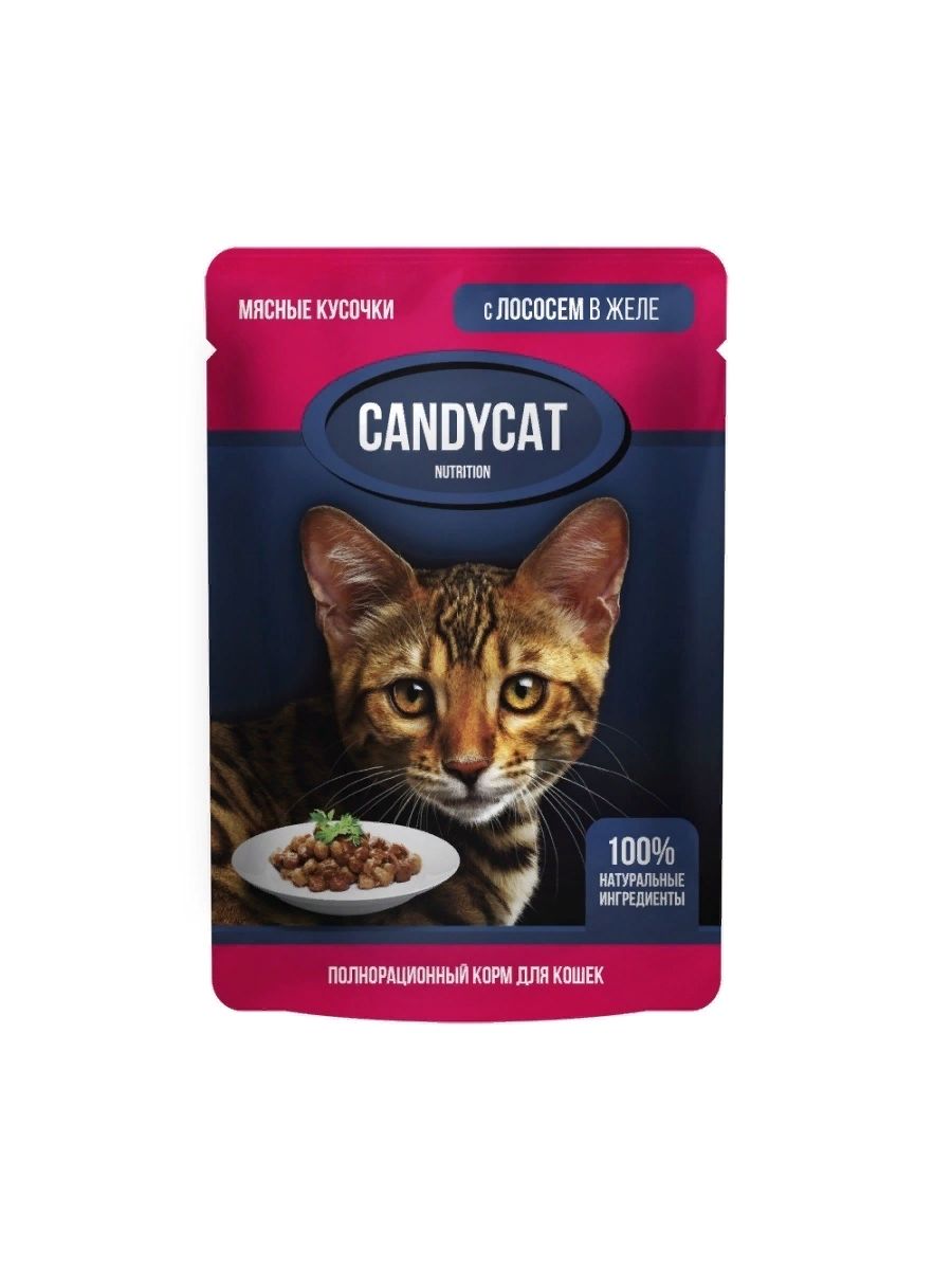 фото Корм влажный candycat для кошек, лосось, в желе, 85 г