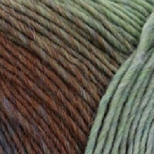 

Virtuoso Color /Виртуозо Колор/ пряжа Regia, MEZ, 9801638 (03075, New!), Разноцветный, 03075,New!