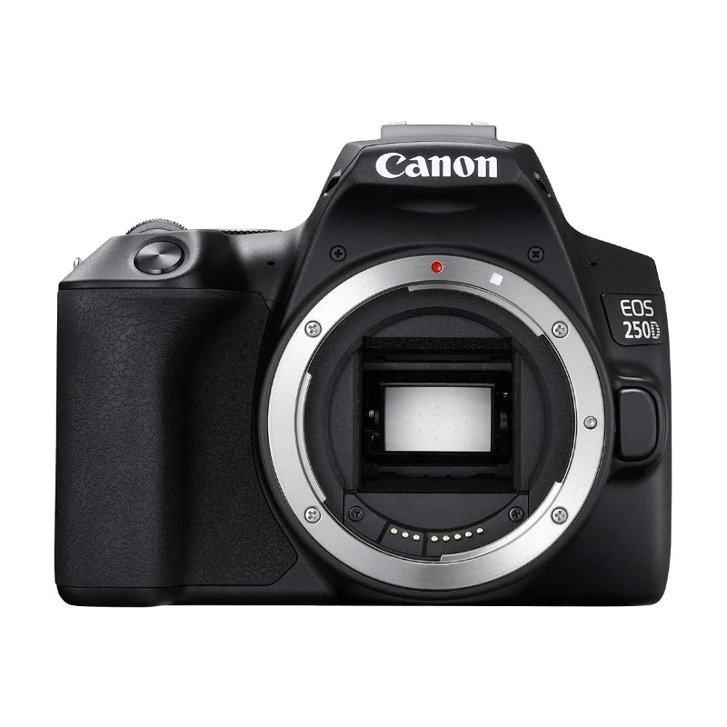 Зеркальный фотоаппарат Canon EOS 250D Body