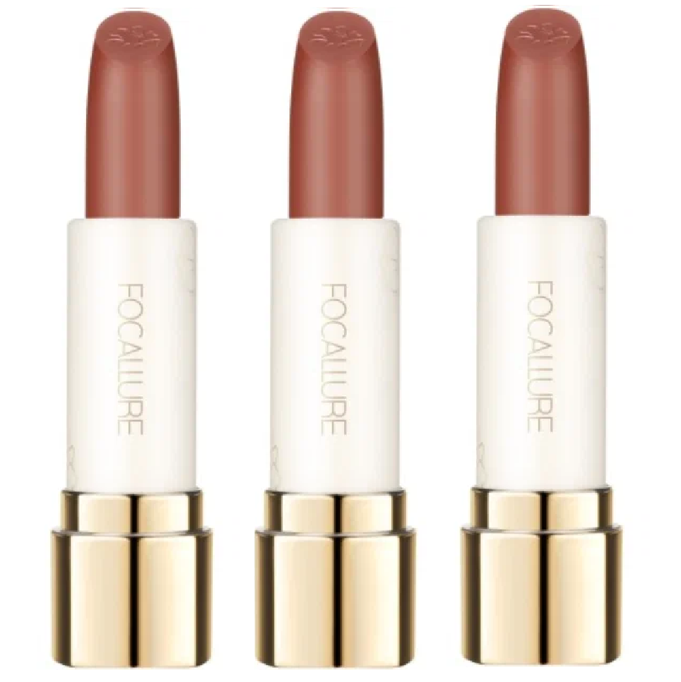 Помада для губ Focallure Pure Matte Lipstick тон BR10 3.7г 3 шт