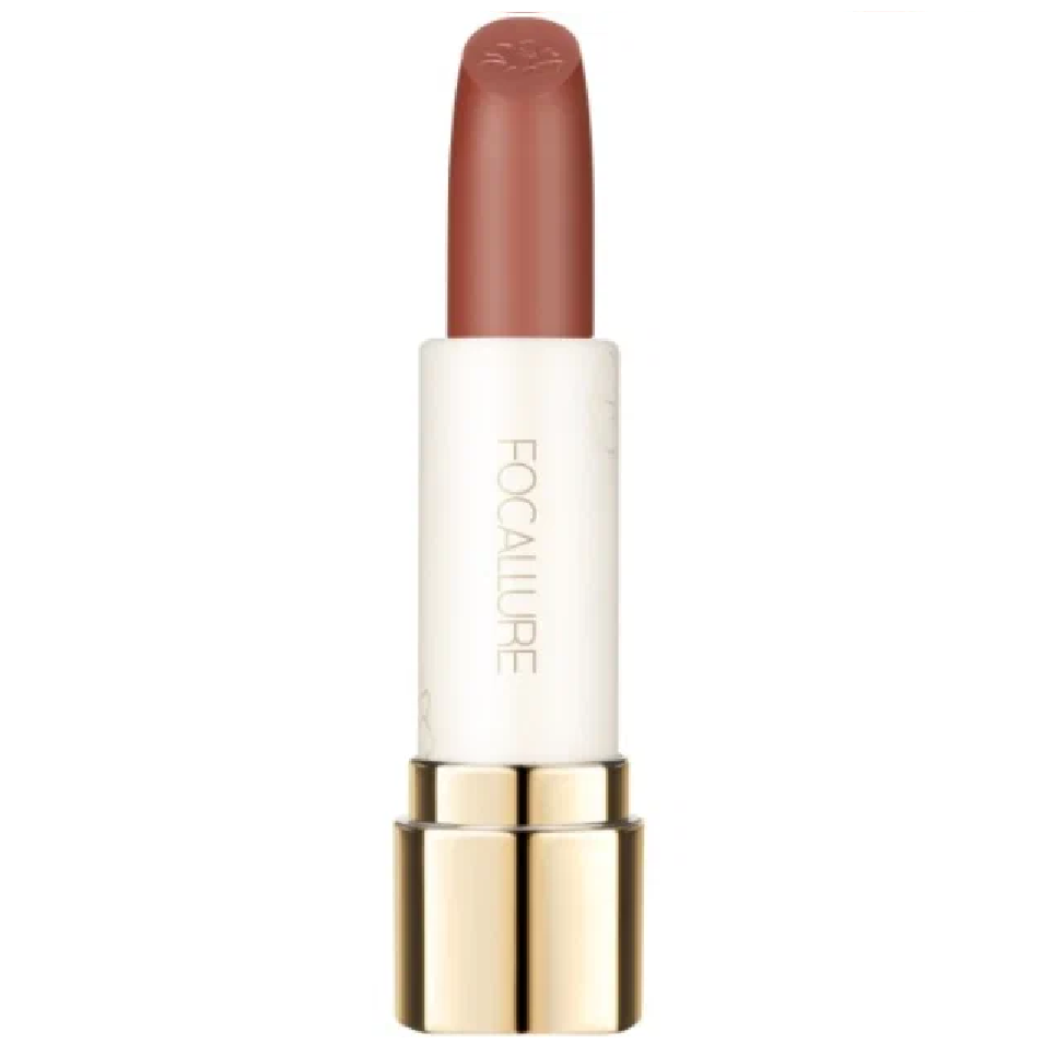 Помада для губ Focallure Pure Matte Lipstick тон BR10 3.7г