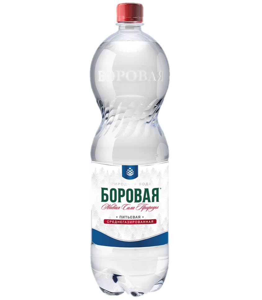 

Вода питьевая Боровая газированная, 1 л