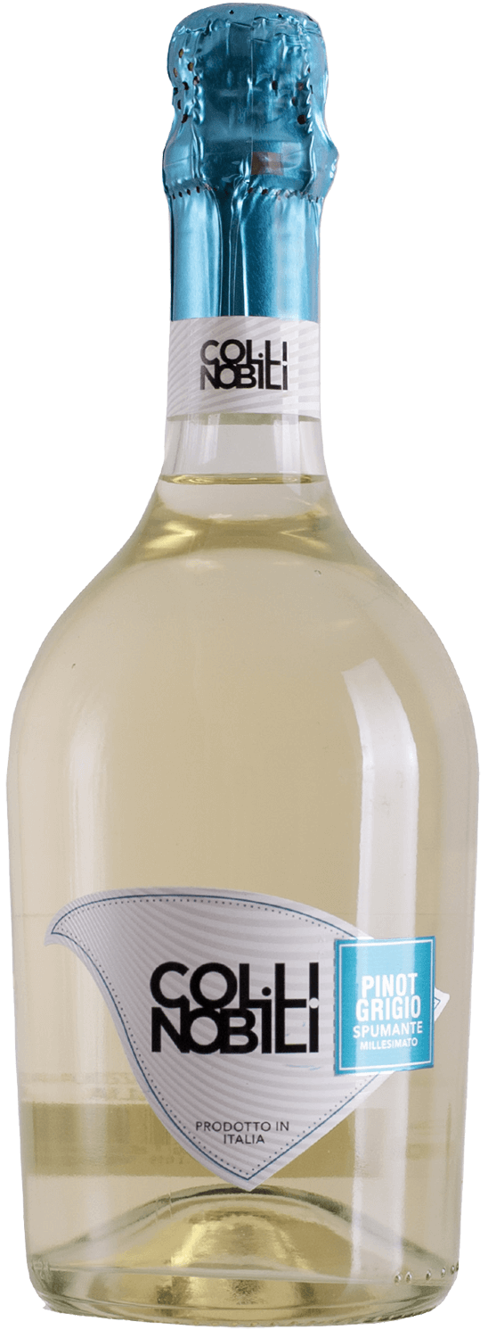 

Игристое вино Collinobili Pinot Grigio Spumante Millesimato Extra Dry Contarini