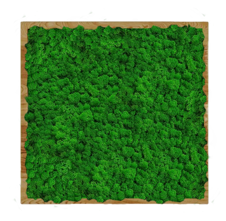 

Панно 120х120см для интерьера GardenGo из натурального стабилизированного мха, 1