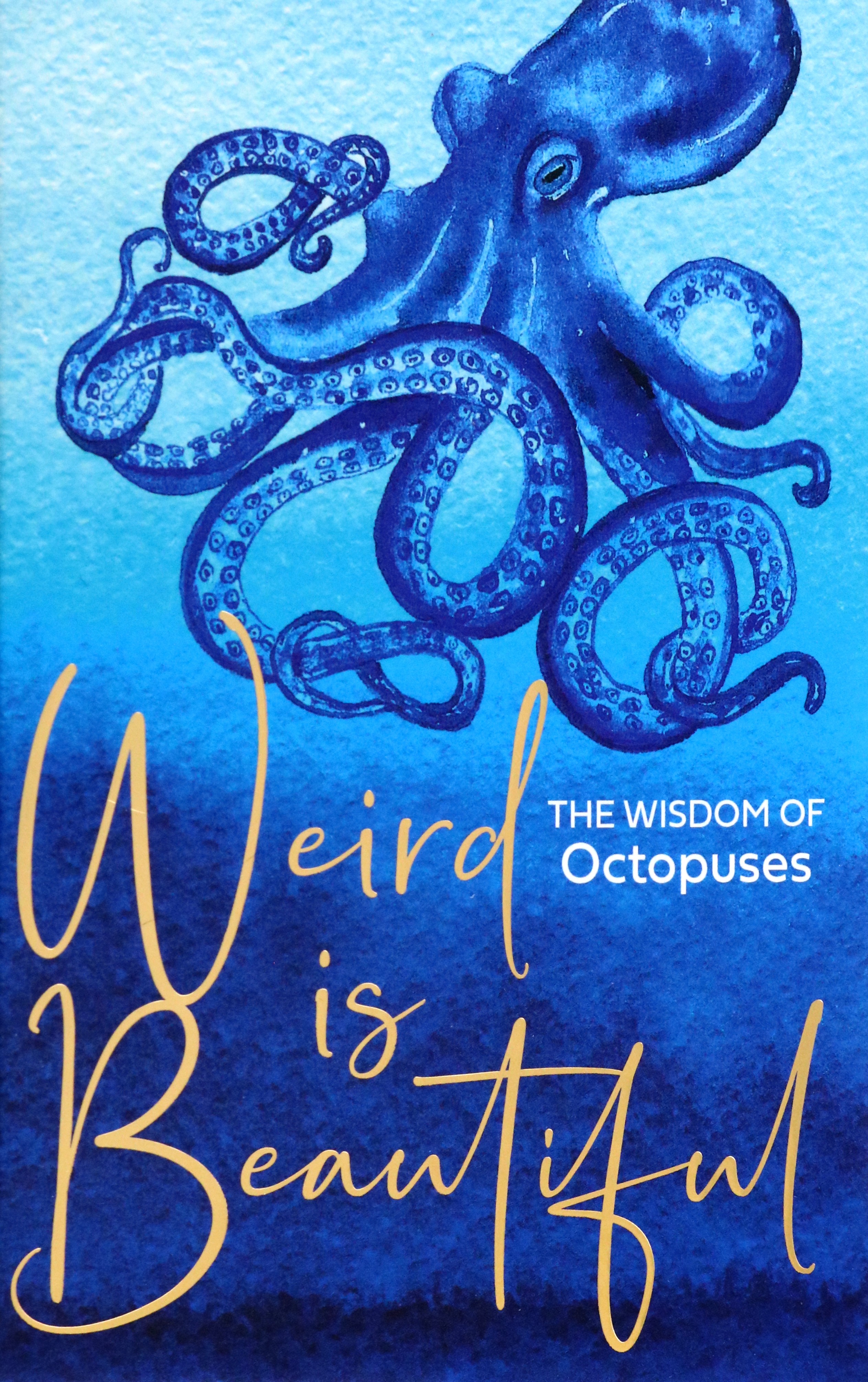 

Weird is Beautiful The Wisdom of Octopuses