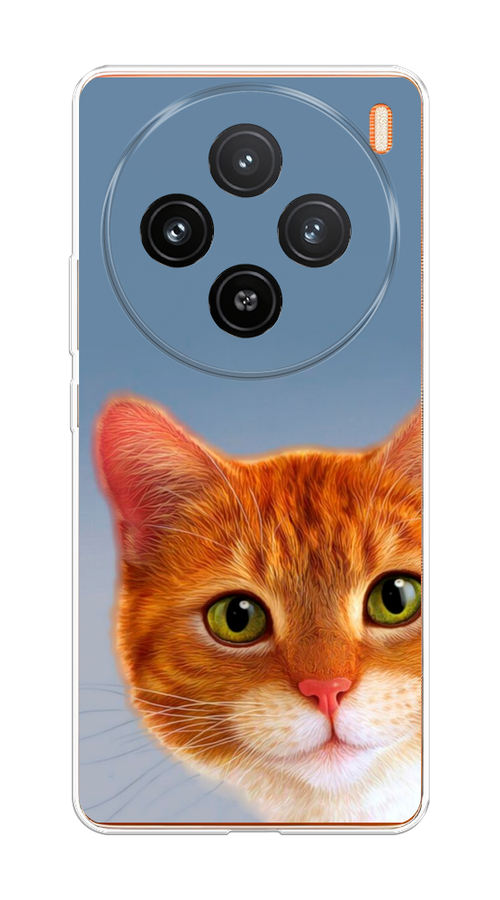 

Чехол на Vivo X100 "Любопытный котик", Коричневый, 2611750-1