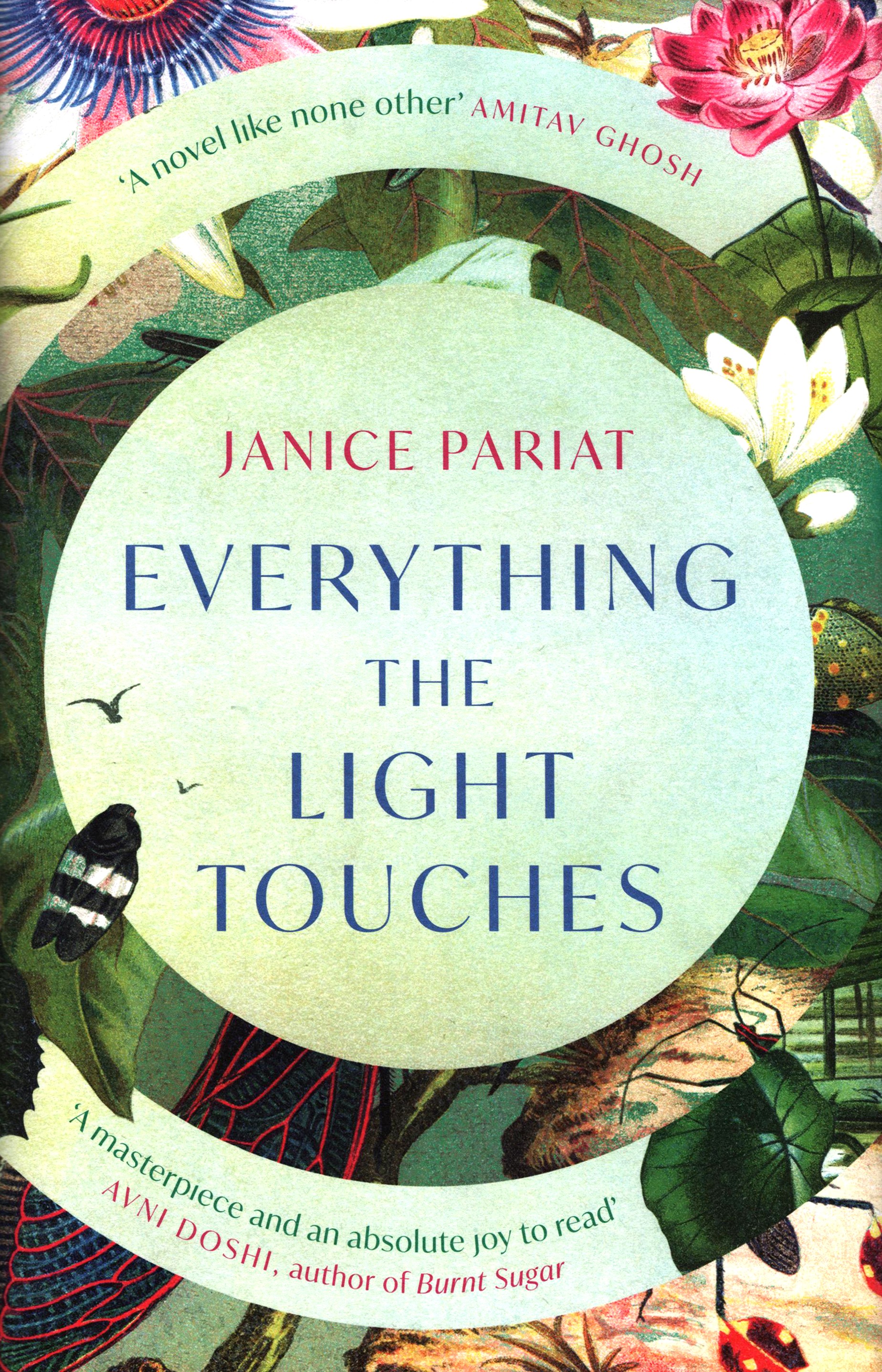 

Everything the Light Touches