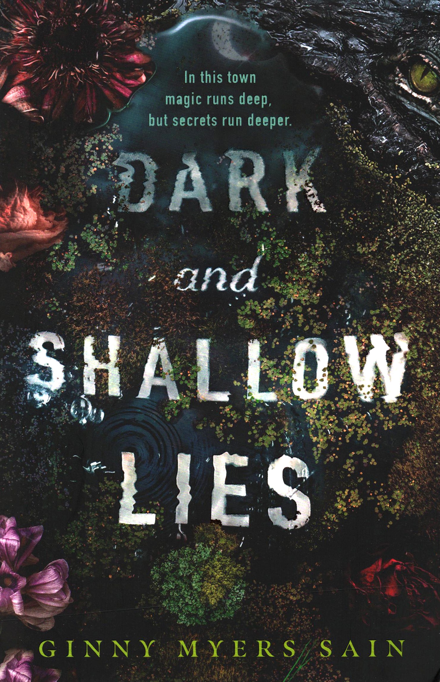 

Dark and Shallow Lies
